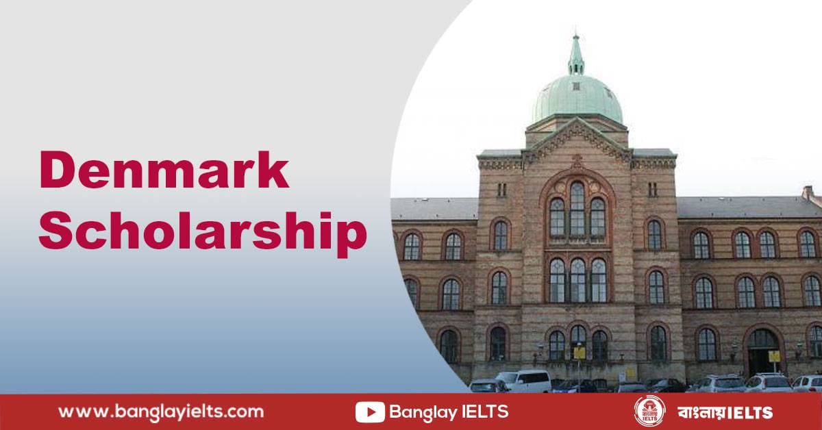 Denmark Scholarship
